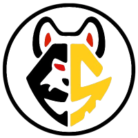 MES eSport