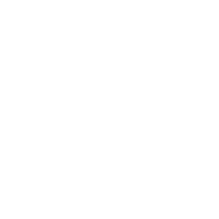 Vizion