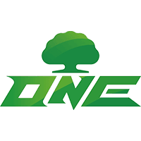 ONE Team Esports