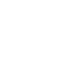 RyZ Knights