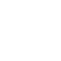 dZOriginals