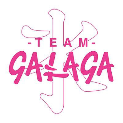 Team Galaga Kitsune