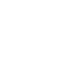 Army of Five