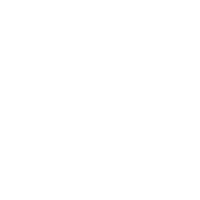 Wingman Patrol