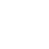 1T