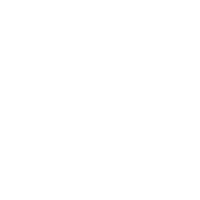 Together We Are Terrific