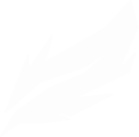 Deagle Ravagers
