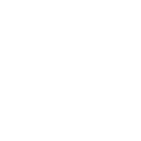 REVE RISE MAX