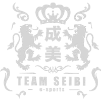 Team SEIBI