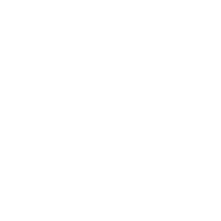 Blue Eyes White Dragon