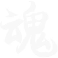 Attacking Soul Esports