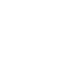 HONK