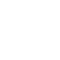 Novus Esports