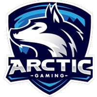 Arctic Gaming Mexico