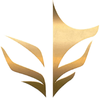 South Built Esports