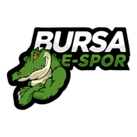 BursaEspor