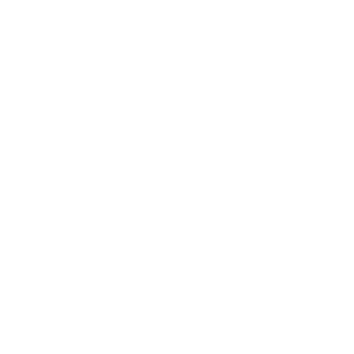 Invictus Gaming Academy