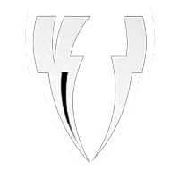 Vincit Gaming