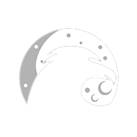 Team Moon