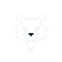 Native 2 Empire