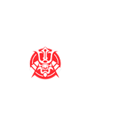 Ronin Team
