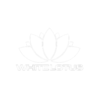 White Lotus