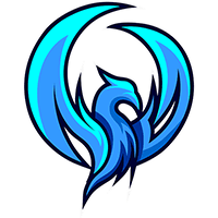 Night Wings Gaming