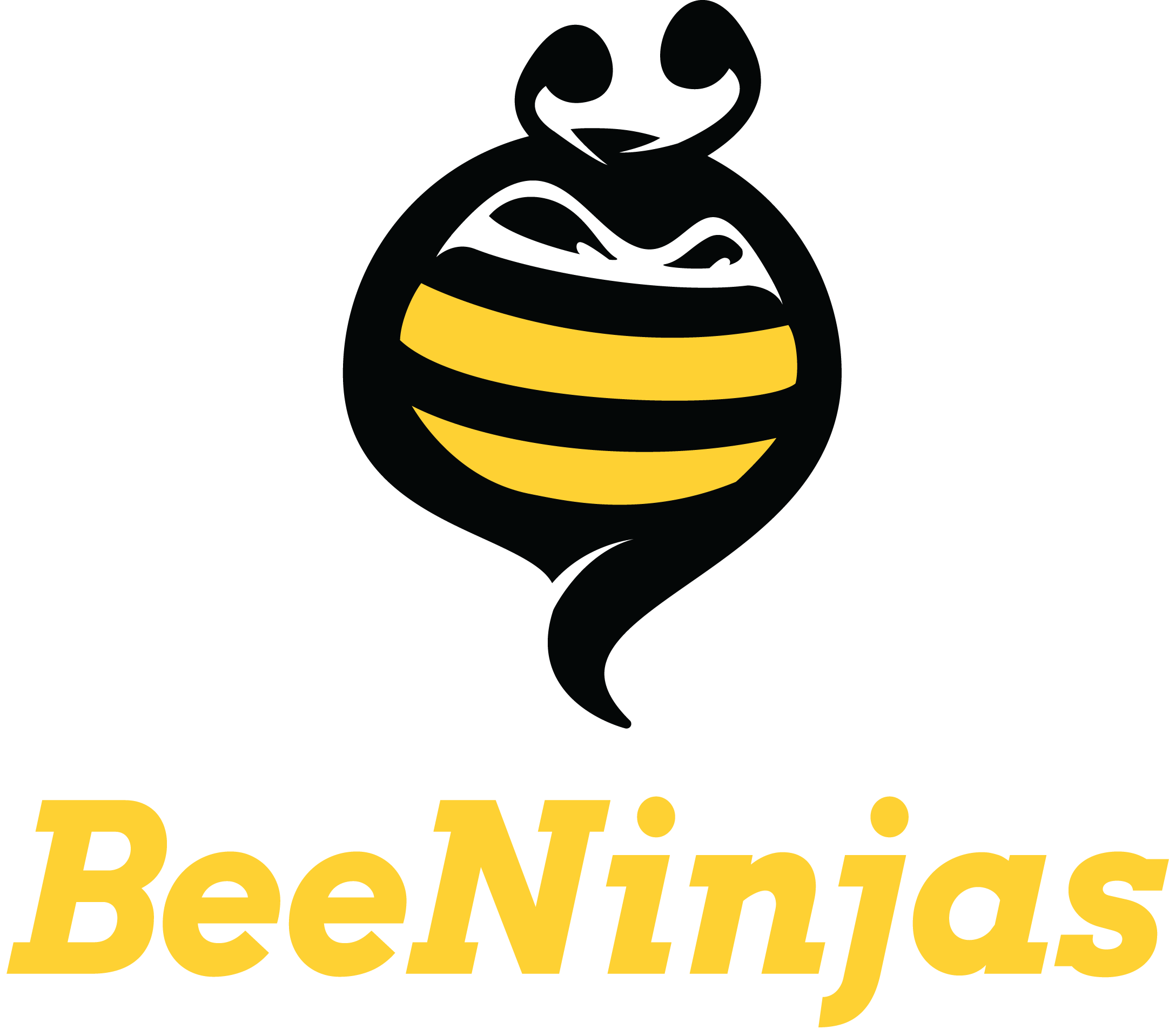 BeeNinjas