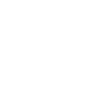 Team Evo