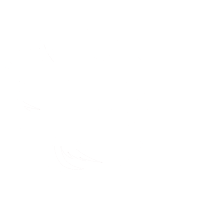 Cast Gaming
