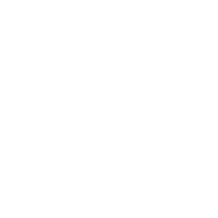 Team Falcons