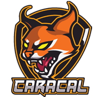 CaRaCaL