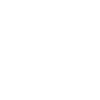 Level 5