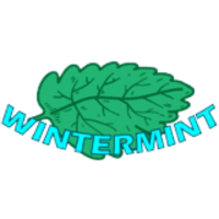 Wintermint