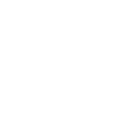 Team Emuhleet